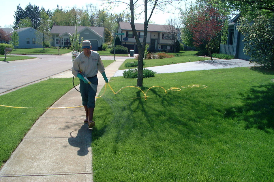 Lawn Care